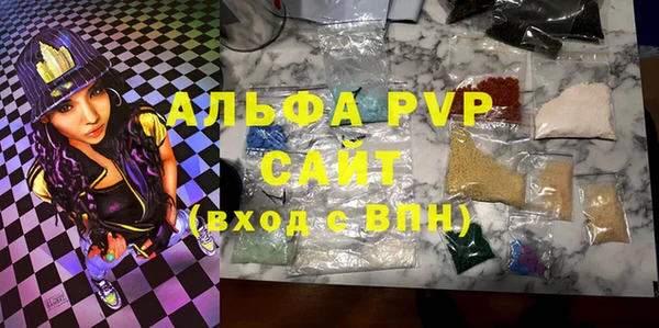 Альфа ПВП Инсар