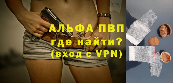 Альфа ПВП Инсар