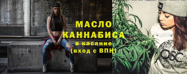 Альфа ПВП Инсар