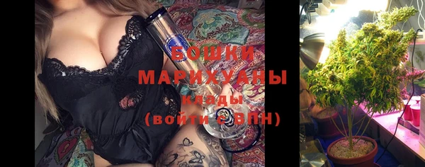 ешки Иннополис