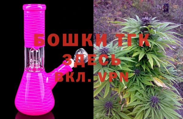 Альфа ПВП Инсар