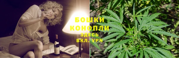 ешки Иннополис