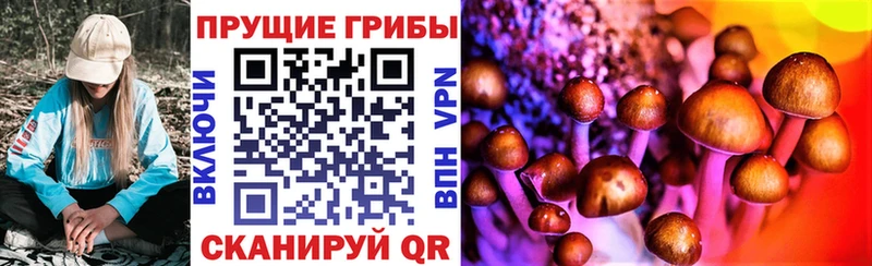 Купить где  Омутнинск  Галлюциногенные грибы Psilocybine cubensis 